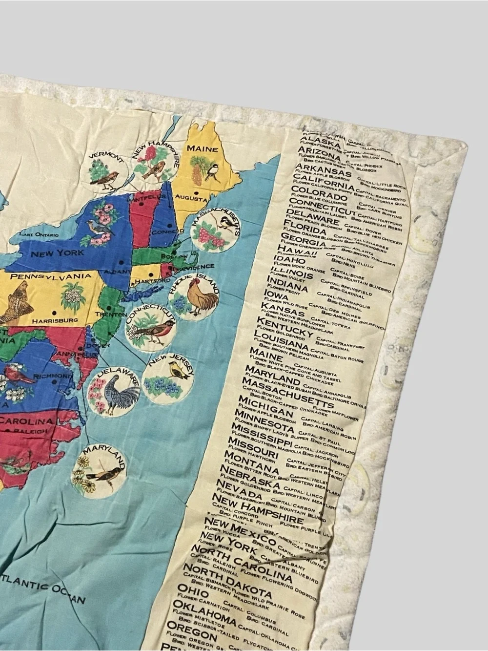 Vintage United States Wall Hanging Quilt Map State Flower/Bird Classroom Decor